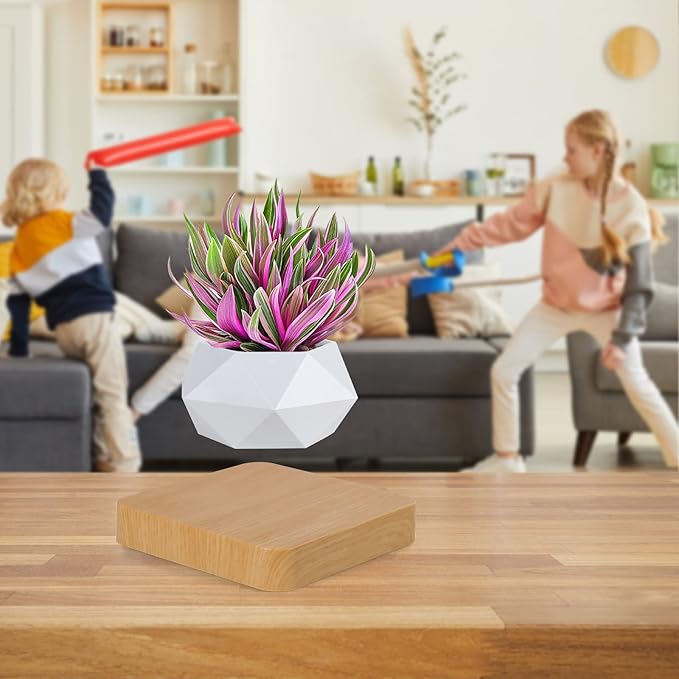 Levitating Air Bonsai Pot, Cool Stuff,Rotation Flower Pot Planters, Potted Plant Home Desk Decor in Flower Pots & Planters from Home & Garden on (Light Color)