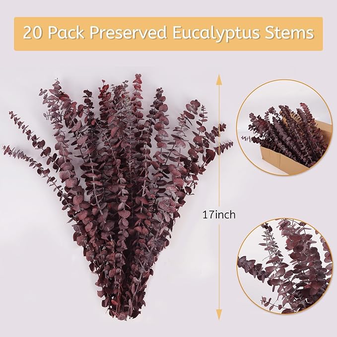Real Dried Eucalyptus Stems, 20Pcs 17inch Red Preserved Fresh Eucalyptus Stems Plant for Home Vase Wedding Festival Floral Arrangement Fall Decoration