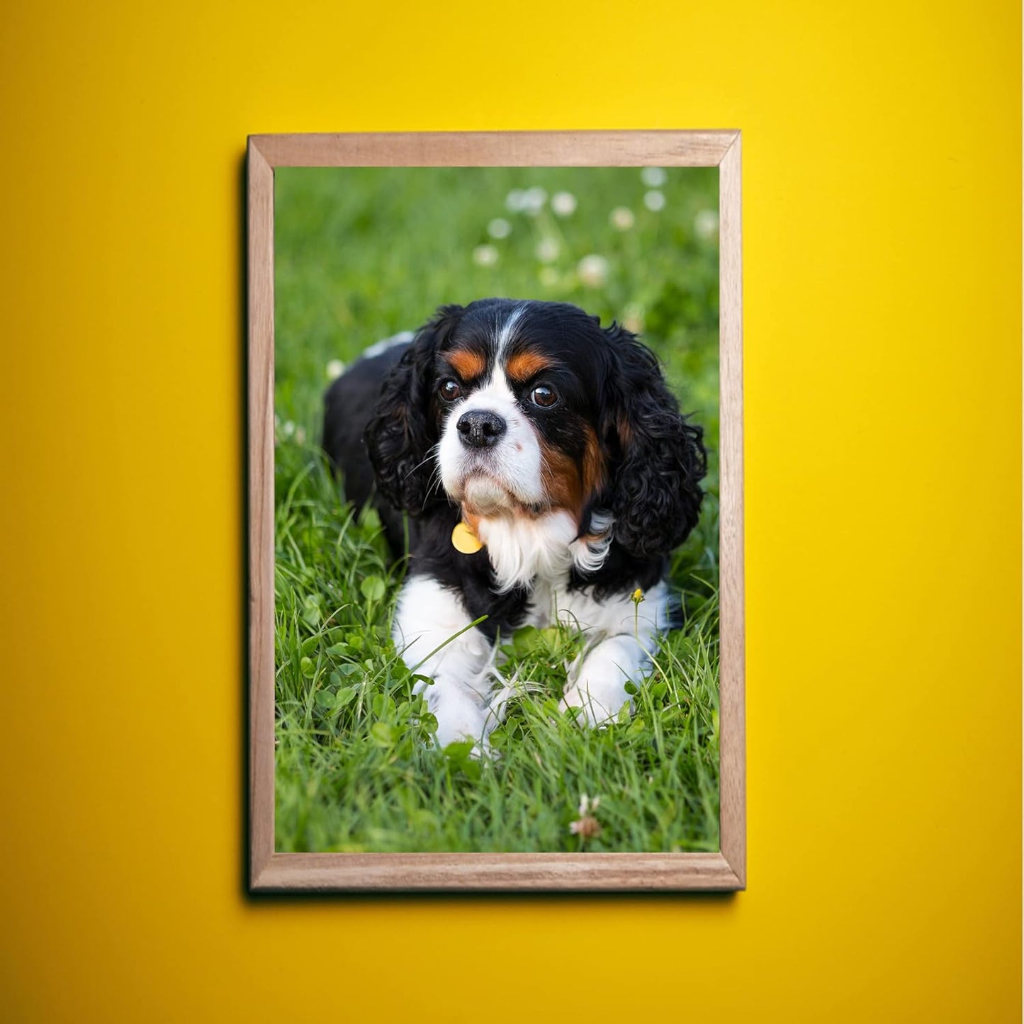 Skiennix Aluminum Sublimation Photo Blanks - 8 PCS Set, 0.4mm Thickness, 8x10 & 12x8 Inches