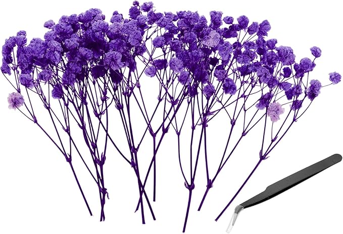 PATIKIL Mini Dried Gypsophila Flower Kit, 30Pcs 4 Inch Blue Purple Natural Pressed Floral Bundles with Tweezer for DIY Resin Crafts Gift Wedding Christmas Card Decor Flower Bouquets