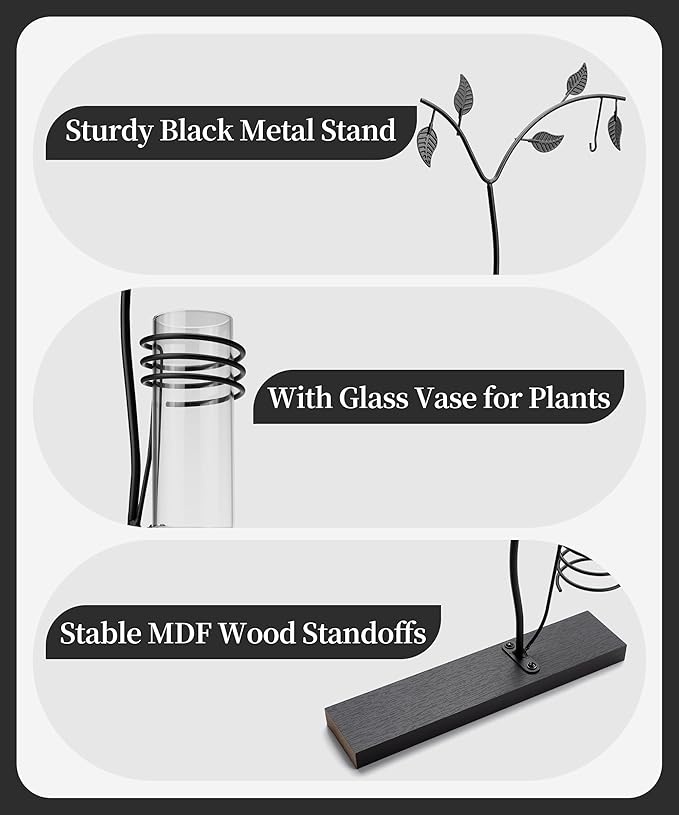 Afuly 5x7 Picture Frame Black Family Picture Frames with Metal Tree Stand Glass Vase Modern Desk Photo Frame for Double Sided Glass Display Wedding Birthday Gifts for Women Couple Mom