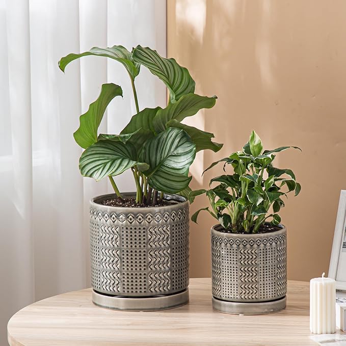 Indoor-Outdoor Ceramic Plant Pots: 6 Inch Flower Pots with Drainage Hole & Saucer - Decorative Ceramic Pots for Plants Herbs Succulents - Home Garden Patio Lawn Use
