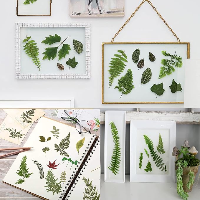 85PCS Real Dried Pressed Leaf Leaves, YouthBro Green Nature Plant Herbarium Set for DIY Jewelry Candle Soap Vase Making Nail Card Scrapbook Art Craft Floral Decors,28 Styles Green Mixed