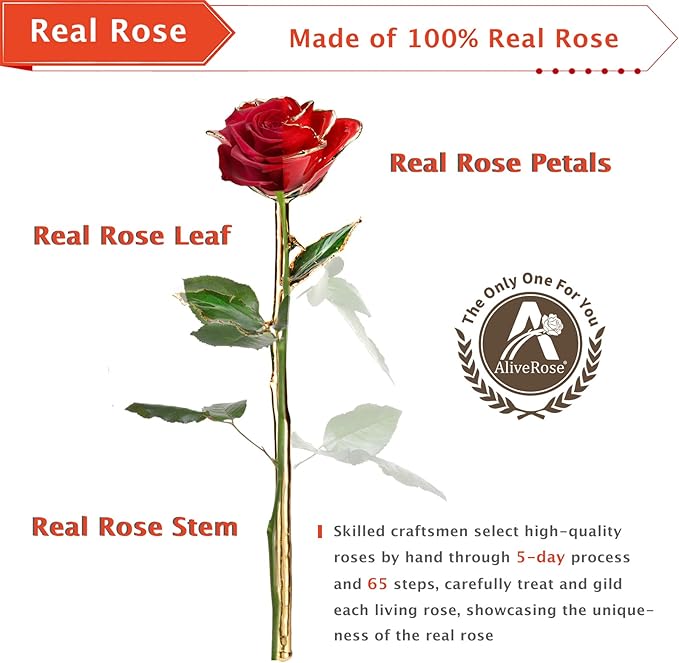AliveRose 24k Gold Rose, Long Stem Rose Made from Real Gold Rose for Anniversary Valentines Mothers Day Birthday(Mint Green with Crystal Vase)