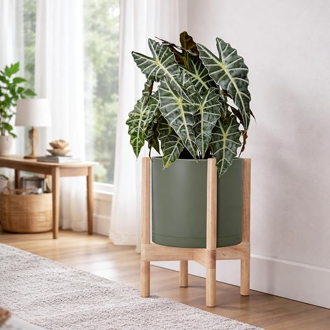 D'vine Dev Planter Pot with Stand - 10 Inch Plastic Cylinder Flower Pot with Wood Planter Holder for Indoor, Olive Pot + Natural Stand, 55-C-M-3