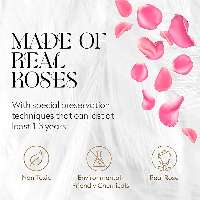 GLAMOUR BOUTIQUE Flower Forever Gift Box 12 Real Preserved Roses in Round Velvet White Box, Handmade, Rose Petals, Birthday, Marriage, Anniversary, Graduation - Pink