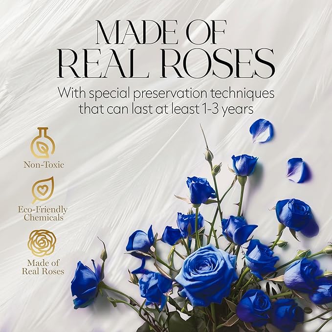 GLAMOUR BOUTIQUE Flowers Forever Gift Box 12 Real Preserved Roses in a Velvet Black Box, Birthday Gift for Wife Mom and Her, Mothers Day, Anniversary, Graduation - Blue