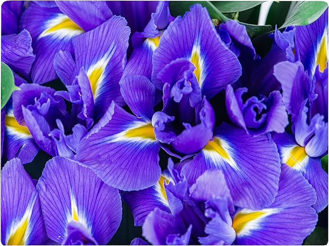 Iris Floral Pattern Flower Love Kitchen Glass Cutting Board Decorative Valentine's Mother's Day Gift For Her Flowers (Iris)