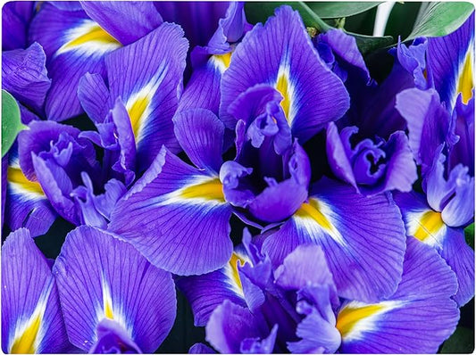 Iris Floral Pattern Flower Love Kitchen Glass Cutting Board Decorative Valentine's Mother's Day Gift For Her Flowers (Iris)