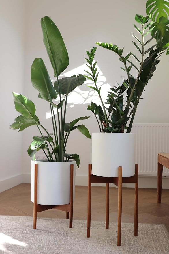 Fox & Fern Mid Century Plant Stand — 11.8 Inch Fixed Size Wooden Plant Stand for Indoor Planters (Not Included) - Large Flower Pot Holder for Indoor Big Pots - Plug In Design - Two Heights - Acacia