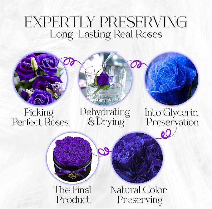 GLAMOUR BOUTIQUE Flowers Forever Gift Box 12 Real Preserved Roses in a Velvet Box, Birthday for Her Mom and Wife, Mothers Day, Anniversary, Graduation - Purple