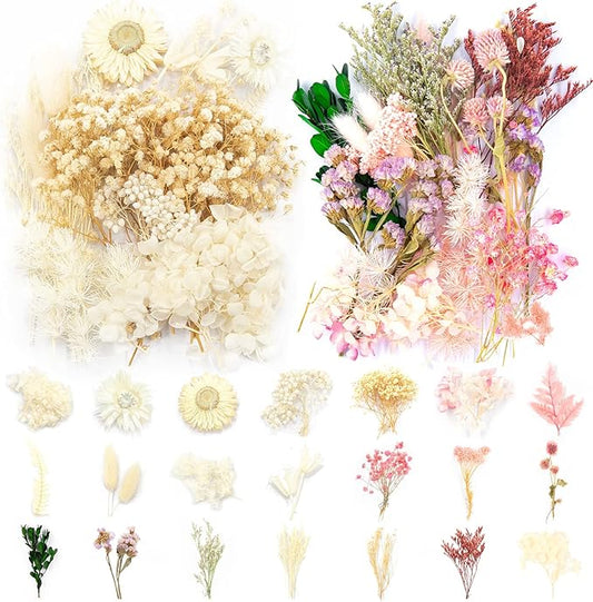 Vignee Real Dried Pressed Leaf Flowers-Multiple Colorful Pressed Flowers Daisies for Craft Resin Jewelry Making Art Craft DIY（White&Light Pink）
