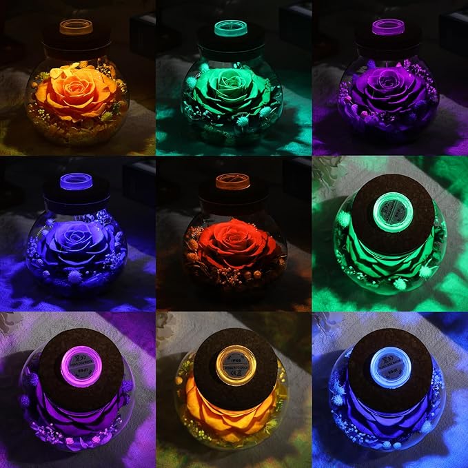 Christmas Birthday Gifts for Women Mom Preserved Rose Eternal Forever Flower in Glass Wishing Bottle with Colorful LED Light Flowers for Delivery Prime for Grandma Wife Sister Friend from Daughter