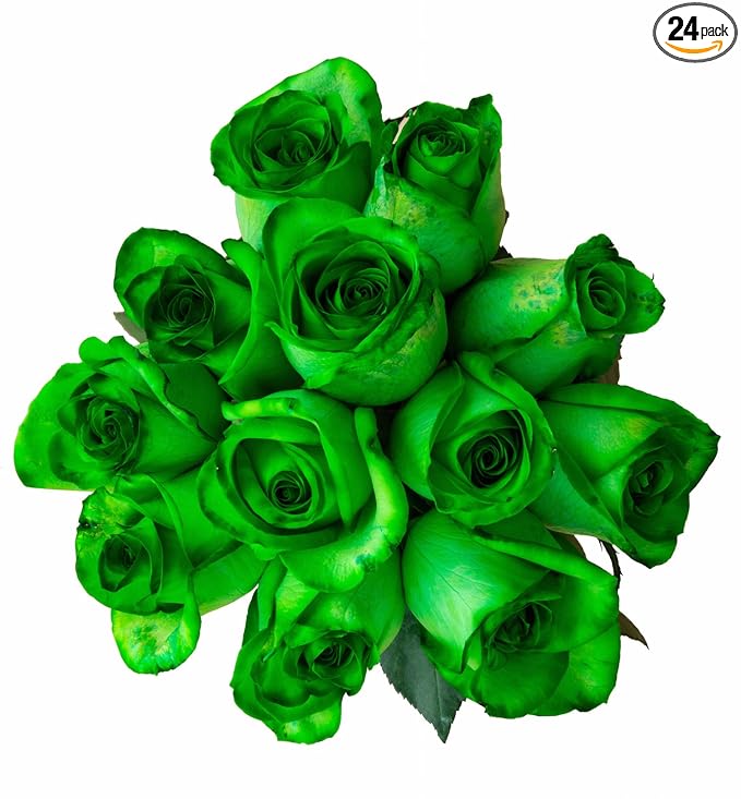 24 Stems - Fresh Cut Tinted Green Roses for Christmas Holidays from Flower Explosion
