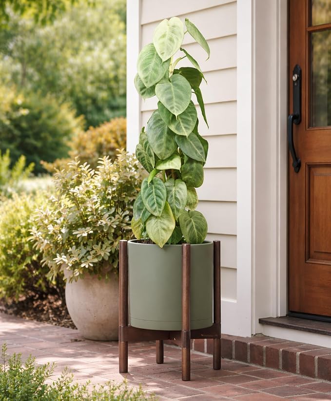 D'vine Dev Planter Pot with Stand - 10 Inch Plastic Cylinder Flower Pot with Wood Planter Holder for Indoor, Olive Pot + Walnut Color Stand, 55-C-L-3