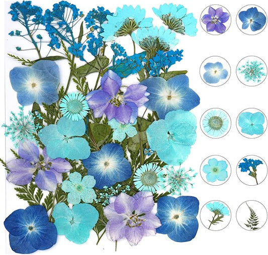 30Pcs Dried Pressed Natural Flowers for Resin Molds Real Pressed Flowers Dry Leaves Bulk Natural Herbs Kit for DIY Scrapbooking Art Crafts Jewelry Molds Candle Soap Making Nails Decor (Blue)