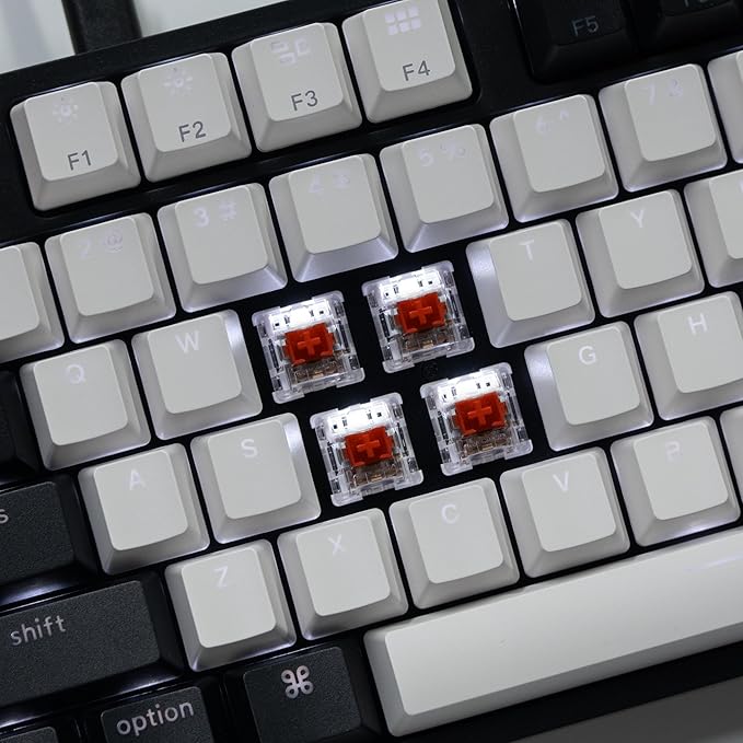 Keychron C2 Full Size 104 Keys Wired Mechanical Gaming Keyboard for Mac Layout with Gateron G Pro Red Switch/White LED Backlight/Double Shot ABS Keycaps/USB C Computer Keyboard for Windows Laptop