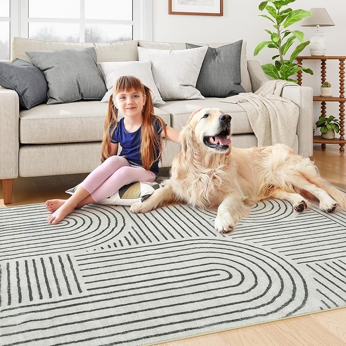 Lahome Abstract Bedroom Rug, Soft 4x6 Rug Ultra-Thin Washable Area Rugs for Living Room, Modern Black Rug Non-Slip Throw Carpet for Entryway Office Kitchen Darrell(4'x6',Black)