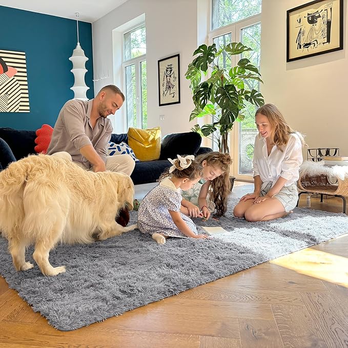 OLANLY 4x5 Machine Washable Accent Rug, Soft Fluffy Shaggy Area Rug for Bedroom, Living Room, Indoor Floor Carpet for Kids, Nursery, Home Decor, Light Grey