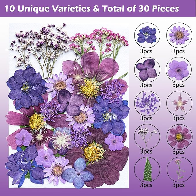 30Pcs Dried Pressed Natural Flowers for Resin Molds Real Pressed Flowers Dry Leaves Bulk Natural Herbs Kit for DIY Scrapbooking Art Crafts Jewelry Molds Candle Soap Making Nails Decor (Purple)