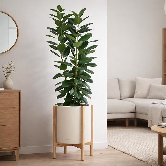 D'vine Dev Planter Pot with Stand - 14 Inch Plastic Cylinder Flower Pot with Wood Planter Holder for Indoor, Oatmeal Pot + Natural Stand, 55-C-S-4