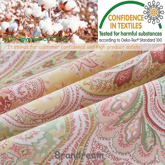 Brandream Boho Paisley Bedding Pink Elegant Watercolor Farmhouse Bed Sheets Set Queen Size Luxury Bedding Collections 800 Thread Count 100% Egyptian Cotton Deep Pocket, 4 Piece