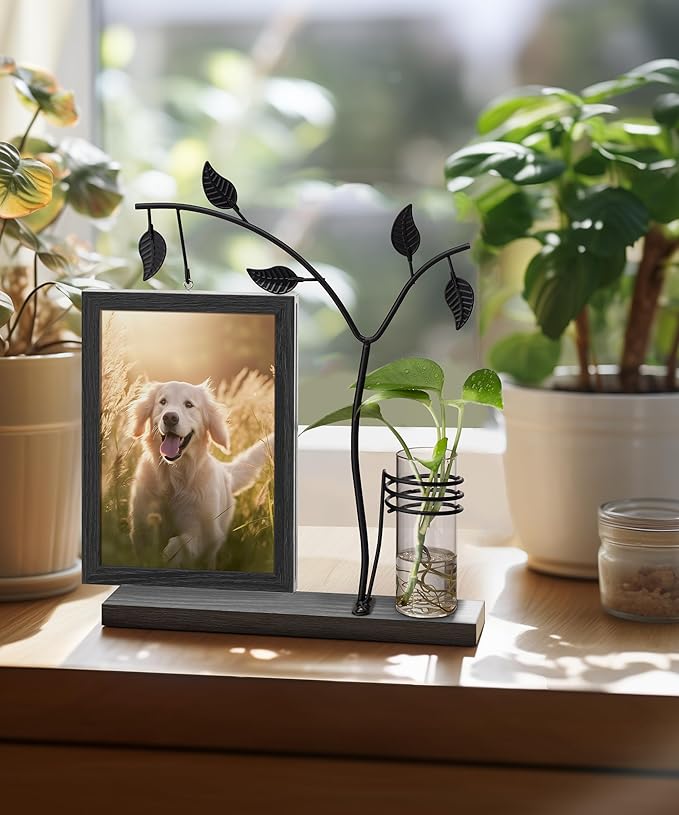 Afuly 5x7 Picture Frame Black Family Picture Frames with Metal Tree Stand Glass Vase Modern Desk Photo Frame for Double Sided Glass Display Wedding Birthday Gifts for Women Couple Mom