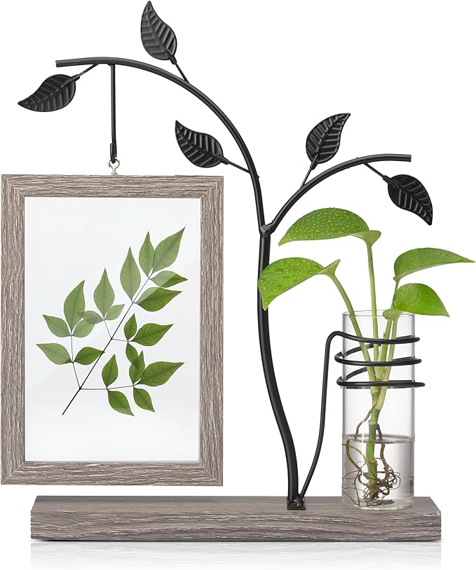 Afuly 4x6 Picture Frame Family Picture Frames with Glass Bud Vase for Plants Flowers, Rustic Floating Frame with Double Glass Tabletop Display Anniversary Wedding Mothers Day Birthday Gifts