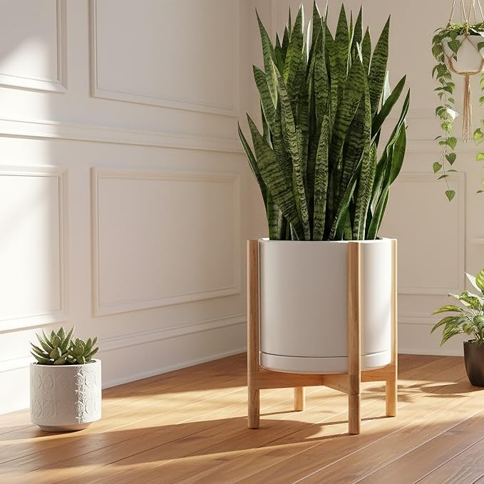 D'vine Dev Ceramic Planter with Natural Stand - 14 Inch Modern Round Flower Pot with Wood Planter Holder, White, 55-B-R-1