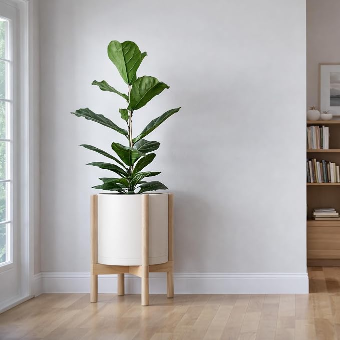 D'vine Dev Planter Pot with Stand - 12 Inch Plastic Cylinder Flower Pot with Wood Planter Holder for Indoor, Oatmeal Pot + Natural Stand, 55-C-P-4
