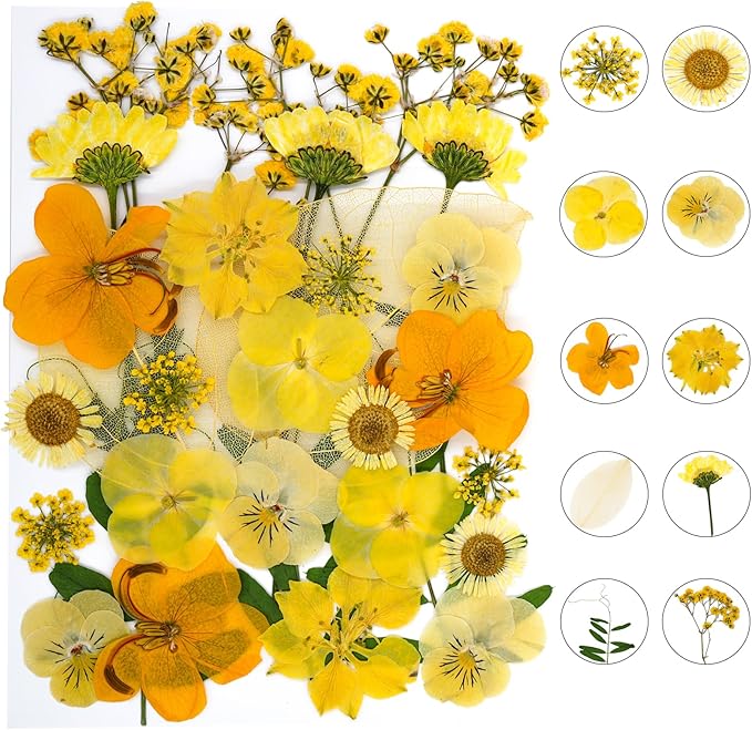30Pcs Dried Pressed Natural Flowers for Resin Molds Real Pressed Flowers Dry Leaves Bulk Natural Herbs Kit for DIY Scrapbooking Art Crafts Jewelry Molds Candle Soap Making Nails Decor (Yellow)