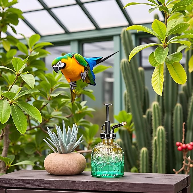 Glass Plant Mister Spray Bottle, 230ML Vintage Plant Spritzer, Succulent Watering Bottle Glass with Top Pump, Small Plants Sprayer Watering Can for Indoor Outdoor House