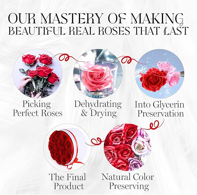GLAMOUR BOUTIQUE Flowers Forever in a Box 12 Preserved Roses in Velvet Box, Birthday, for Women, Eternal Rose for Wife, Mom Flower - Red