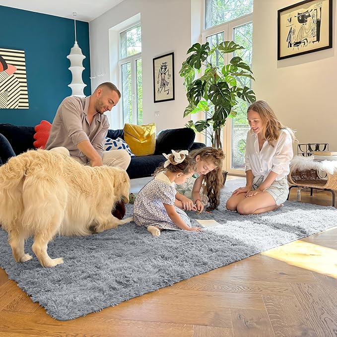 OLANLY Area Rugs for Living Room Bedroom, Machine Washable 4x5.9 ft Soft Fluffy Shaggy Bedside Rug, Indoor Floor Carpet for Kids Girls and Boys, Dorms, Nursery Rooms, Home Decor, Silver Grey