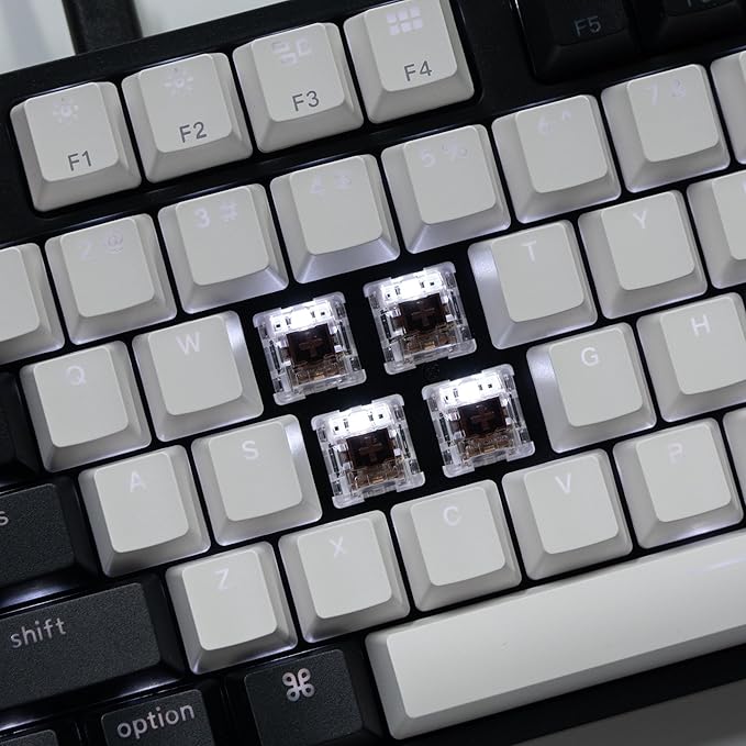 Keychron C2 Full Size 104 Keys Wired Mechanical Gaming Keyboard for Mac Layout, Gateron G Pro Brown Switch/White LED Backlight/Double Shot ABS Keycaps/USB C Computer Keyboard for Windows Laptop