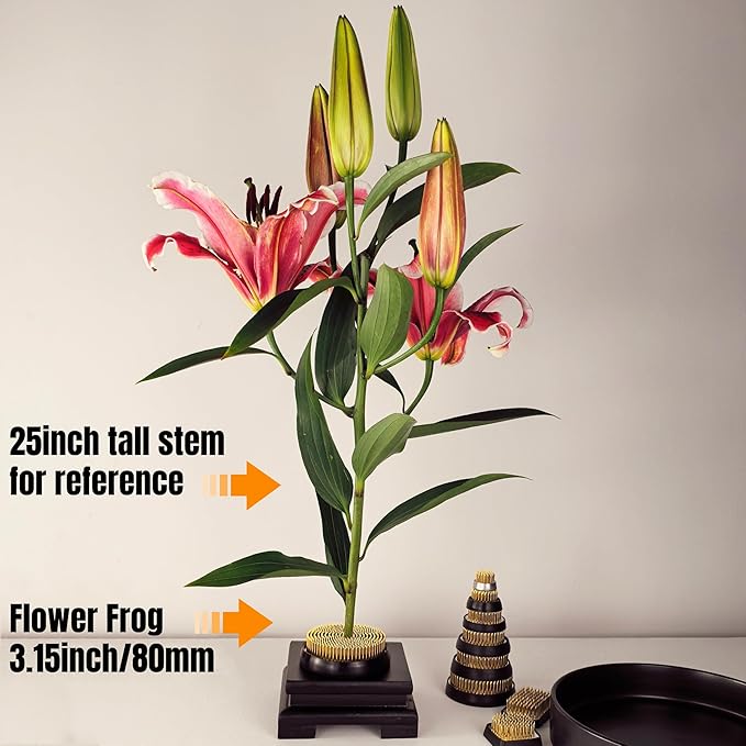 80mm Flower Frog Large Floral Frog Flower Arrangements Supplies Japanese Ikebana Kenzan with Rubber Base (3.15inch)