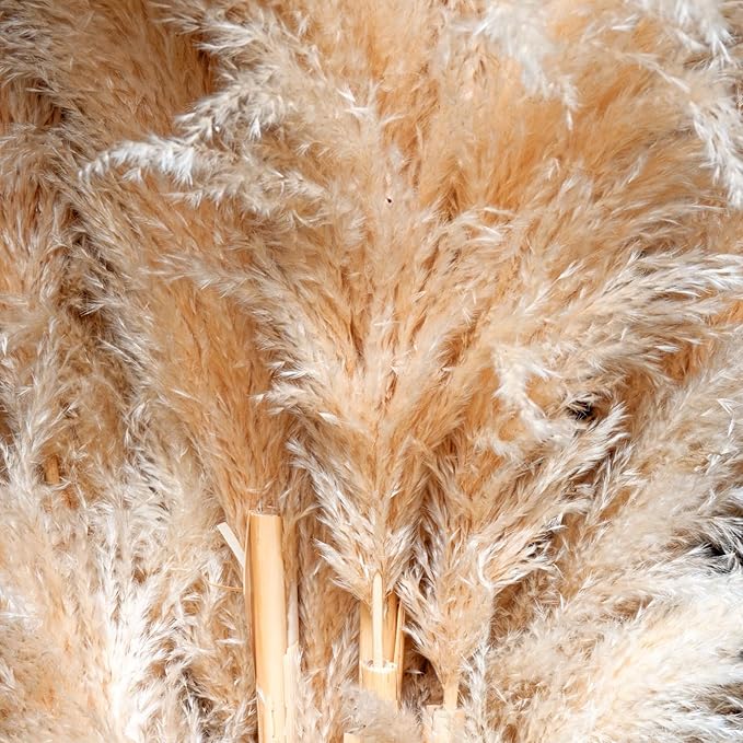 40-Inch Cream Pampas Grass Decor Tall 10-Pcs XXL Size Natural Boho Plants Decor Wedding Flowers