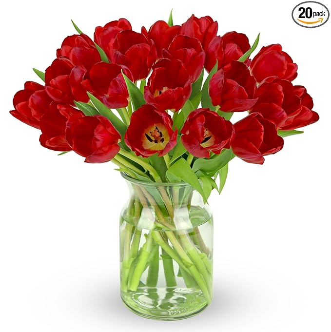 Benchmark Bouquets - 20 Stem Red Tulips (Glass Vase Included) - Fresh Flowers for Delivery - Gift for Graduation, Birthday, Anniversary, Sympathy, Get Well, Congratulations