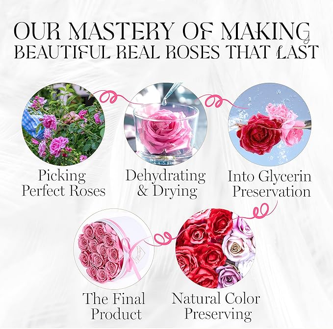 GLAMOUR BOUTIQUE Flower Forever Gift Box 12 Real Preserved Roses in Round Velvet White Box, Handmade, Rose Petals, Birthday, Marriage, Anniversary, Graduation - Pink