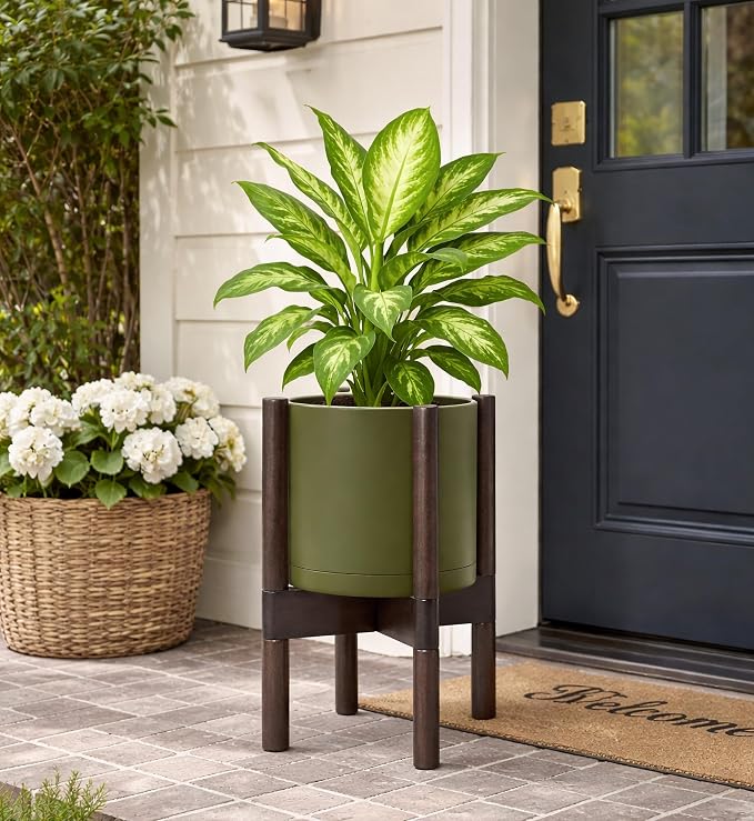 D'vine Dev Planter Pot with Stand - 8 Inch Plastic Cylinder Flower Pot with Wood Planter Holder for Indoor, Olive Pot + Walnut Color Stand, 55-C-I-3