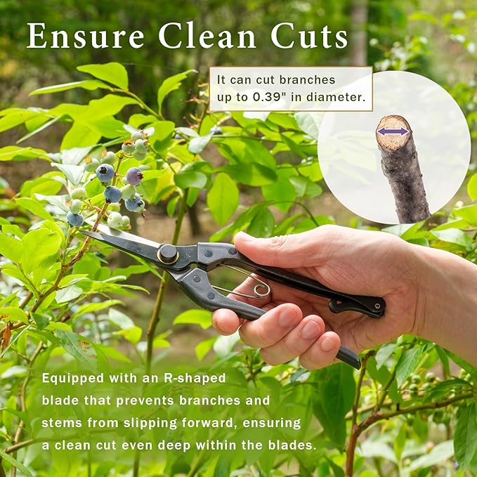 Professional Forged 8.2" Japanese Bud Cutting Pruning Shears Garden Flower Trimming Scissors Made in Japan (Single-blade)