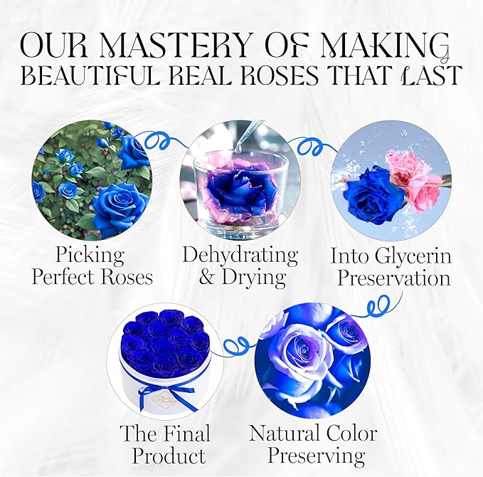 GLAMOUR BOUTIQUE Flower Forever Gift Box 12 Real Preserved Roses in Round Velvet White Box, Handmade, Rose Petals, Birthday, Marriage, Anniversary, Graduation - Blue