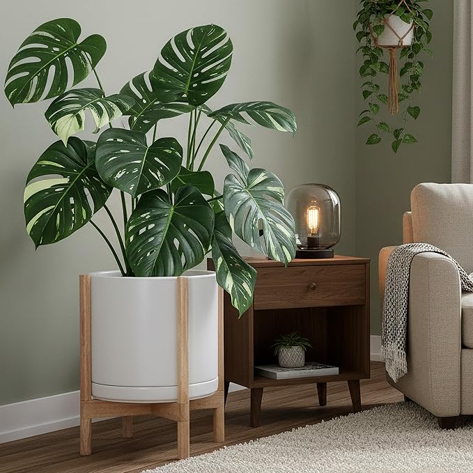 D'vine Dev Ceramic Planter with Natural Stand - 14 Inch Modern Round Flower Pot with Wood Planter Holder, White, 55-B-R-1