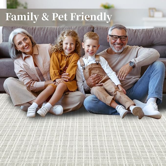Washable Area Rug 5x7 Rug for Living Room Modern Large Area Rug for Bedroom Aesthetic Non Slip Throw Rugs Soft Faux Wool Low Pile Stain Resistant Carpet for Dining Room 5'x7' Light Grey