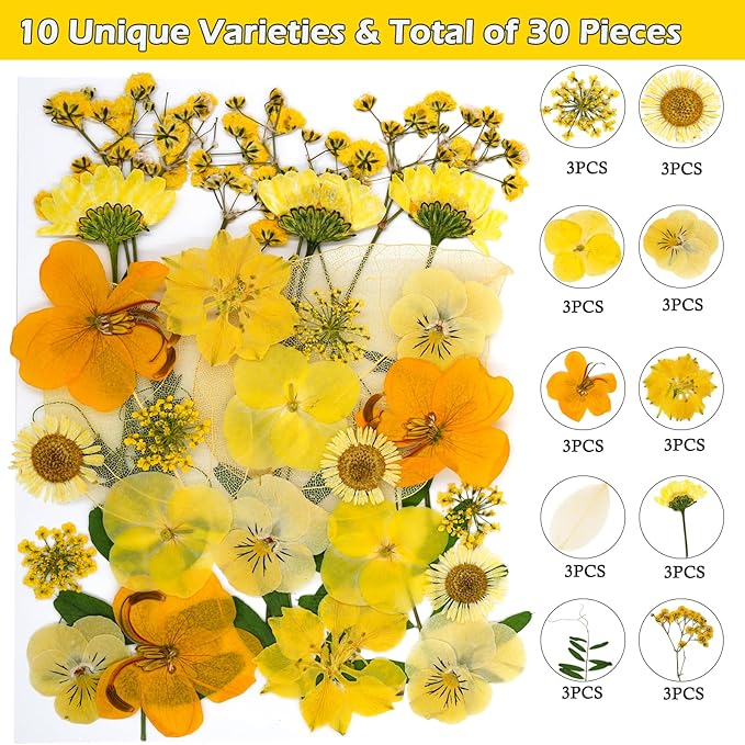 30Pcs Dried Pressed Natural Flowers for Resin Molds Real Pressed Flowers Dry Leaves Bulk Natural Herbs Kit for DIY Scrapbooking Art Crafts Jewelry Molds Candle Soap Making Nails Decor (Yellow)