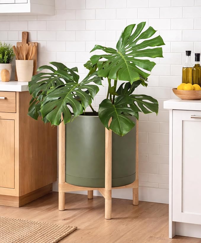 D'vine Dev Planter Pot with Stand - 16 Inch Plastic Cylinder Flower Pot with Wood Planter Holder for Indoor, Olive Pot + Natural Stand, 55-C-Y-3