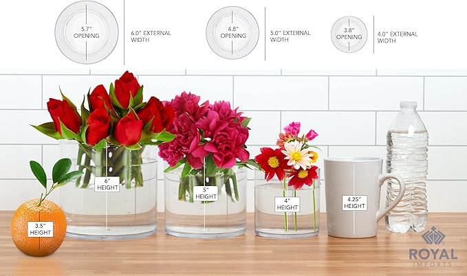Royal Imports Flower Acrylic Vase Decorative Centerpiece for Home or Wedding by Royal Imports - Break Resistant - Cylinder Shape, 6" Tall, 6" Opening