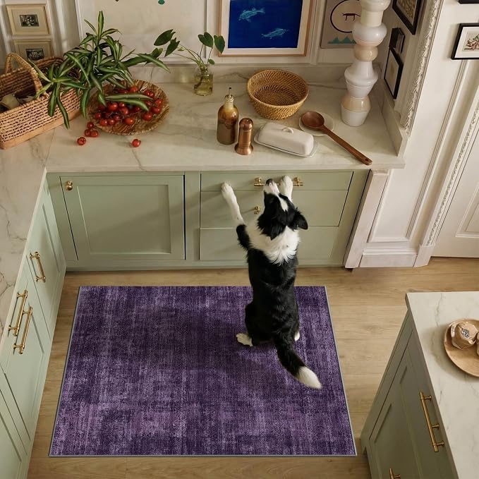 Kokia Abstract Area Rug Washable 2x3 Non-Slip Stain Resistant Entryway Rug Soft Indoor Mat for Kitchen Door Decor, Oslo Dusty