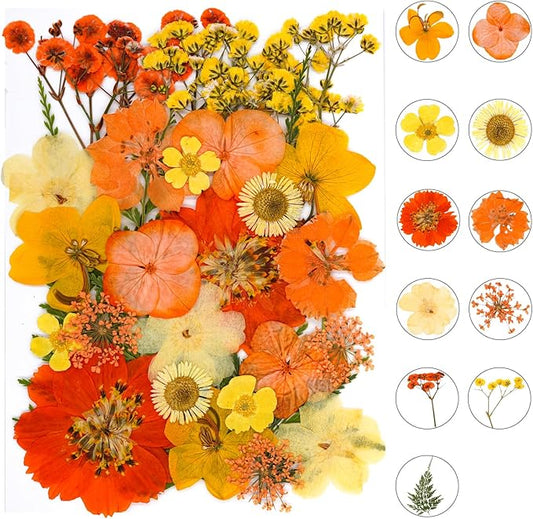 30Pcs Dried Pressed Natural Flowers for Resin Molds Real Pressed Flowers Dry Leaves Bulk Natural Herbs Kit for DIY Scrapbooking Art Crafts Jewelry Molds Candle Soap Making Nails Decor (Orange)
