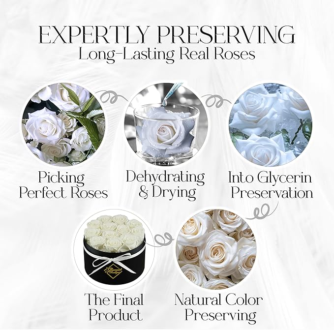 GLAMOUR BOUTIQUE Flowers Forever Gift Box 12 Real Preserved Roses in a Velvet Black Box, Birthday Gift for Her Mom and Wife, Mothers Day, Anniversary, Graduation - White
